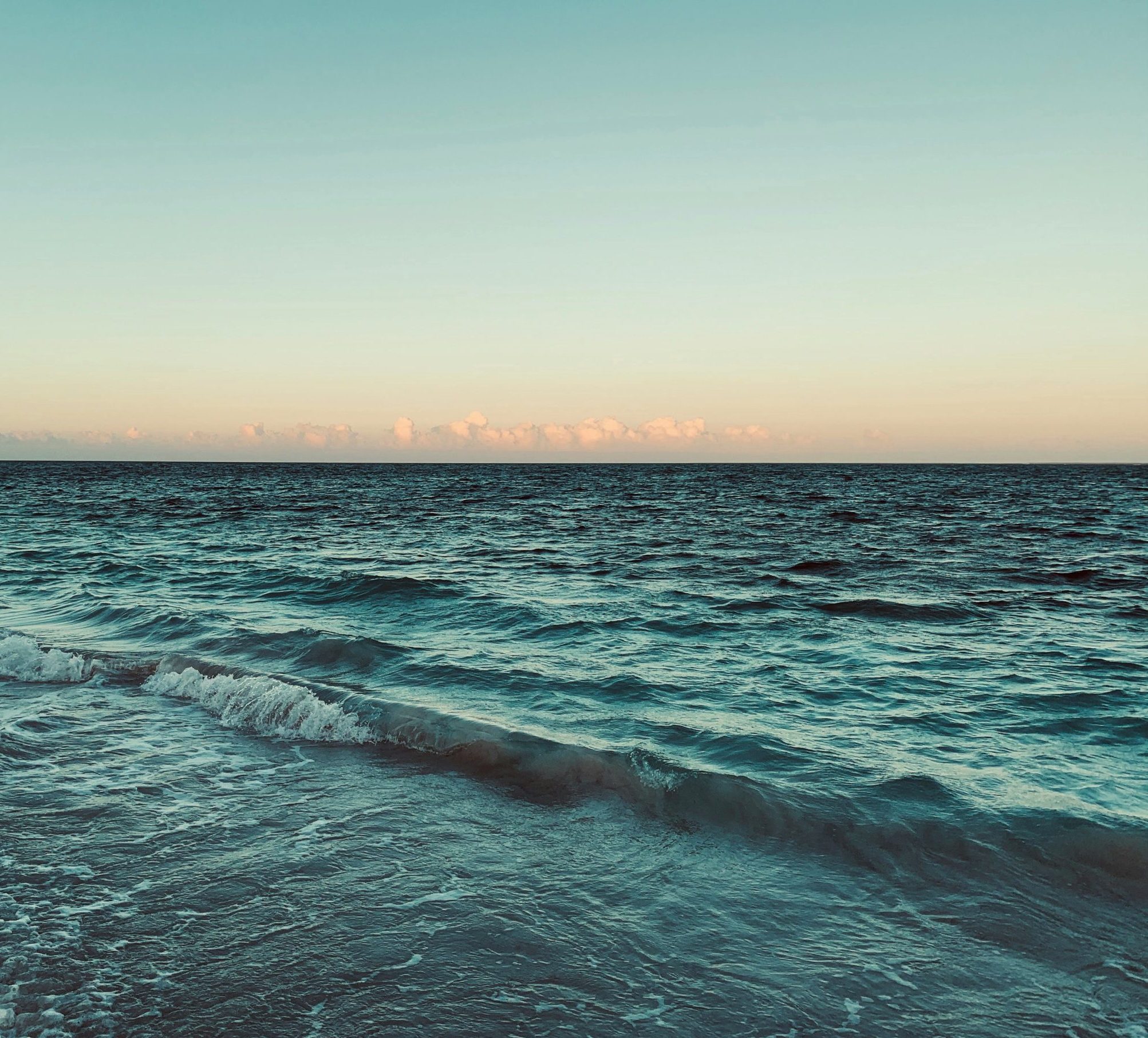 philip-yu-f9XwpNWhJ2s-unsplash